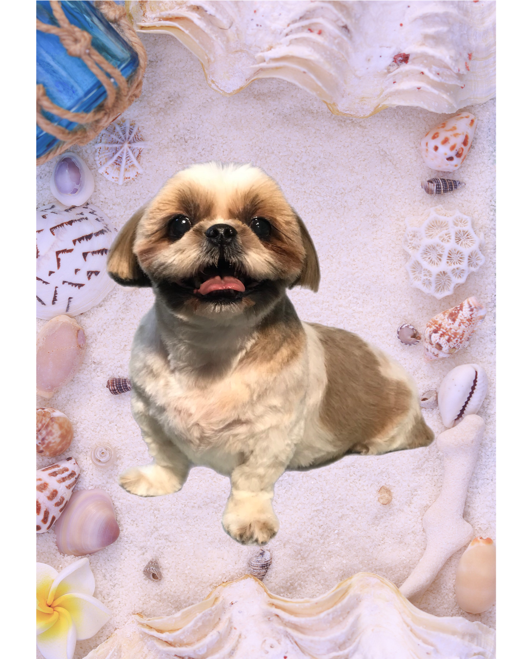 カットスタイルイメージ 3