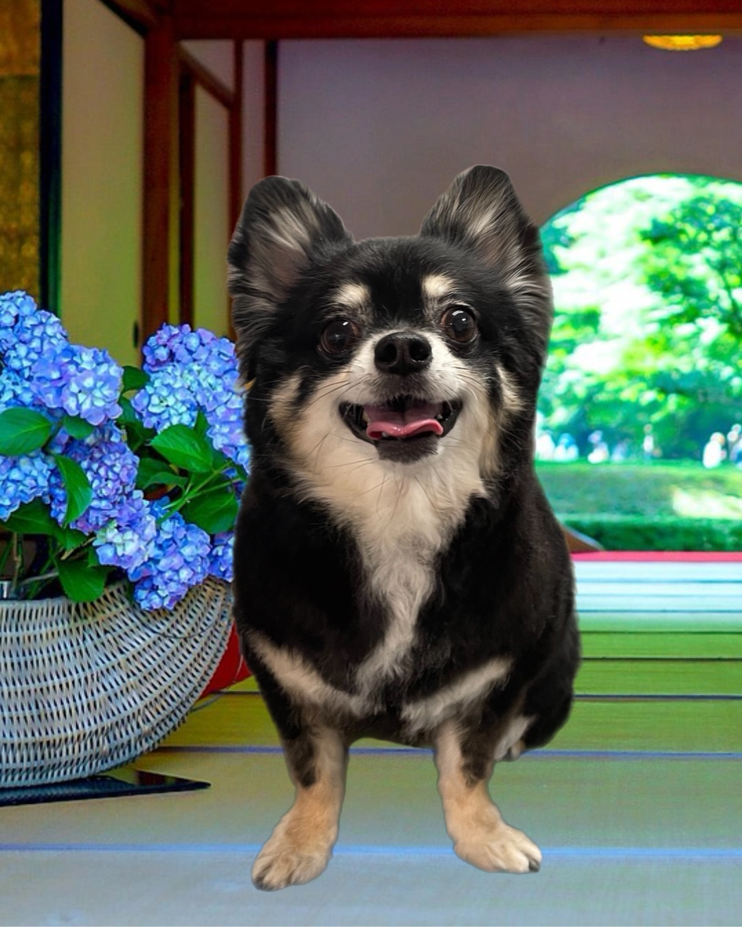 カットスタイルイメージ 8