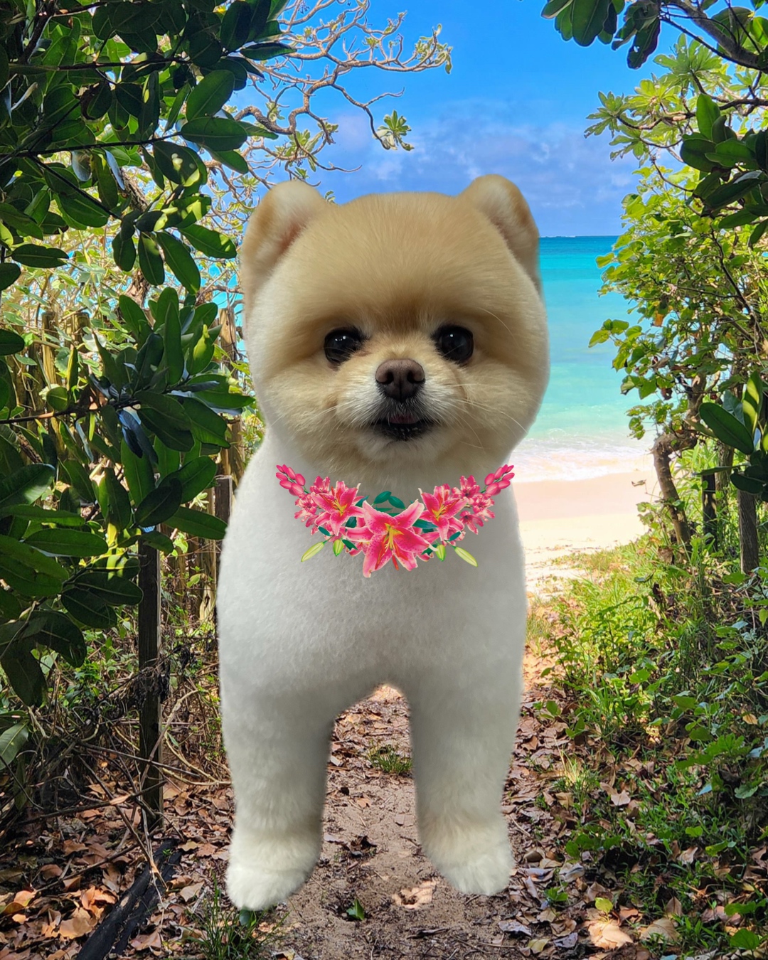 カットスタイルイメージ 9