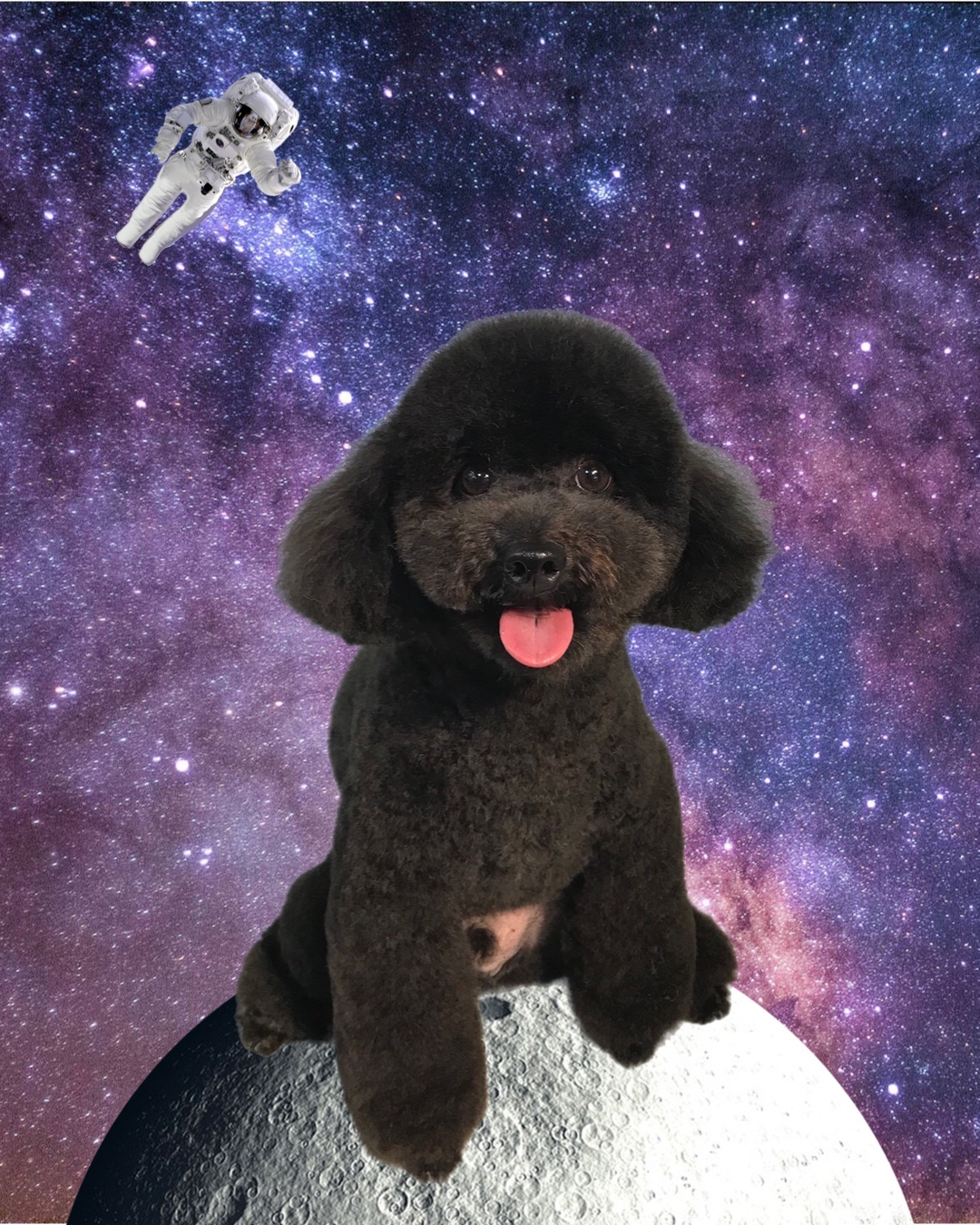 カットスタイルイメージ 10