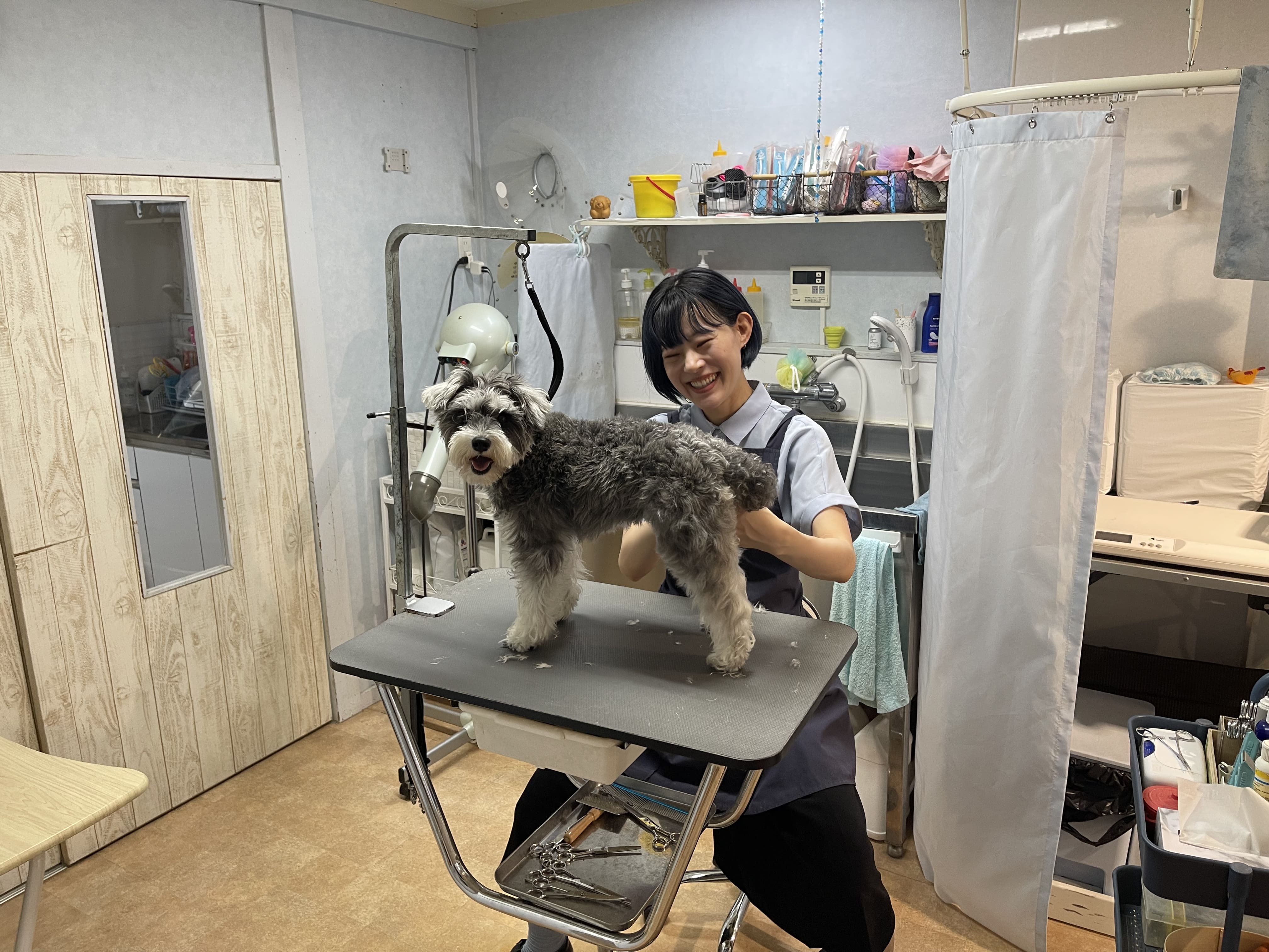 トリミングルーム